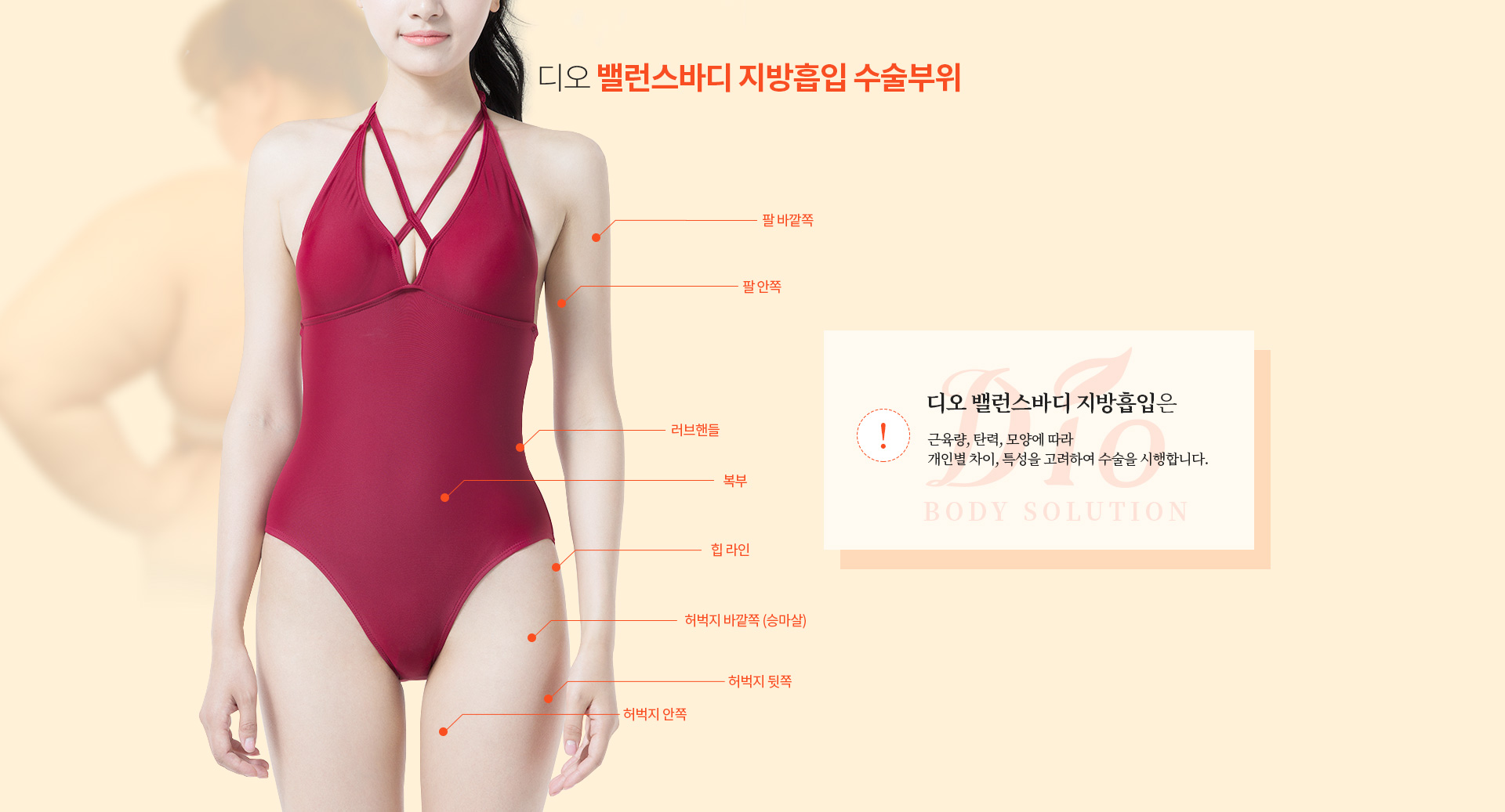 디오 밸런스바디 지방흡입 수술부위 — 팔 바깥쪽, 팔 안쪽, 러브핸들, 복부, 힙 라인, 허벅지 바깥쪽(승마살), 허벅지 뒷쪽, 허벅지 안쪽. 근육량·탄력·모양에 따라 개인별 차이와 특성을 고려하여 수술을 시행합니다
