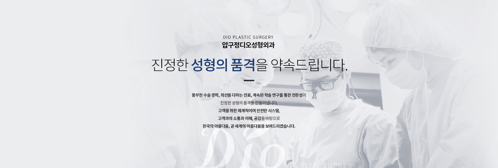 진정한 성형의 품격을 약속하다.