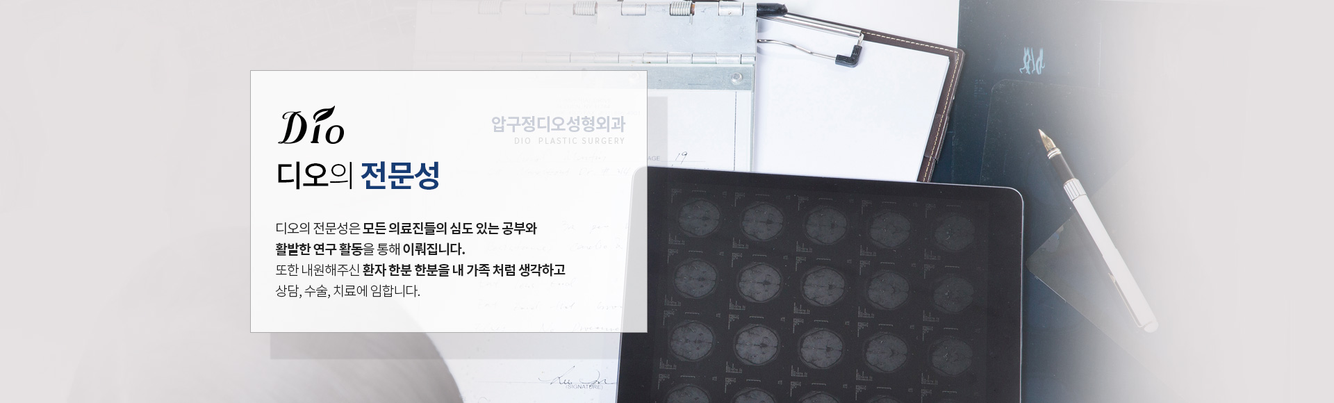 디오의 전문성