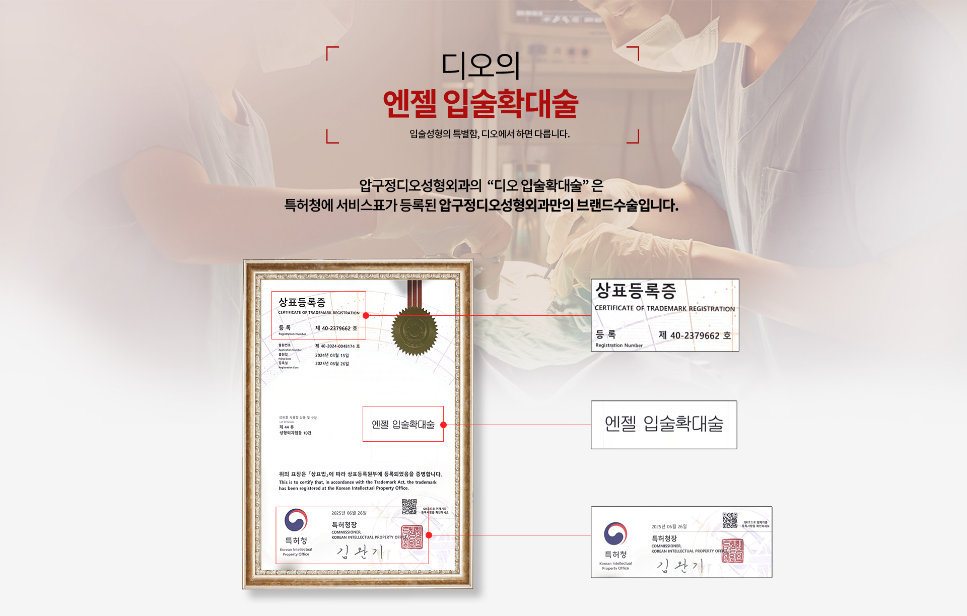 안젤리나입술확대술 엔젤입술확대술 특허