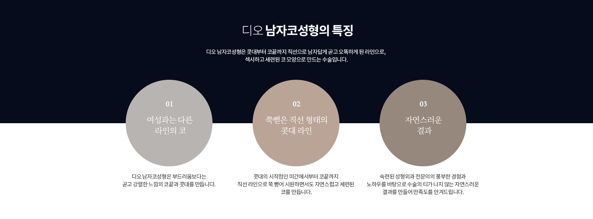 디오 남자코성형의 특징 — 콧대부터 코끝까지 직선으로 곧고 오똑하게 된 라인. 여성과는 다른 라인의 코, 미간에서부터 코끝까지 쭉 뻗은 직선 형태의 콧대 라인, 티가 나지 않는 자연스러운 결과
