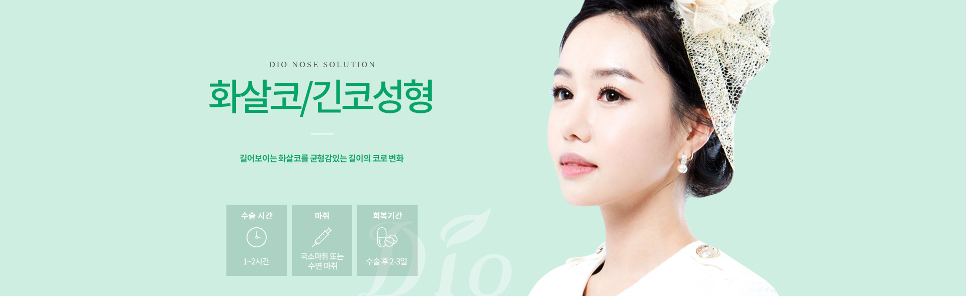화살코/긴코 성형
