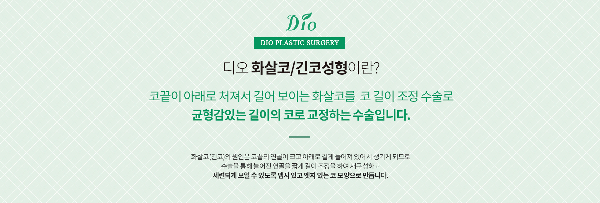 화살코/긴코성형이란? 
