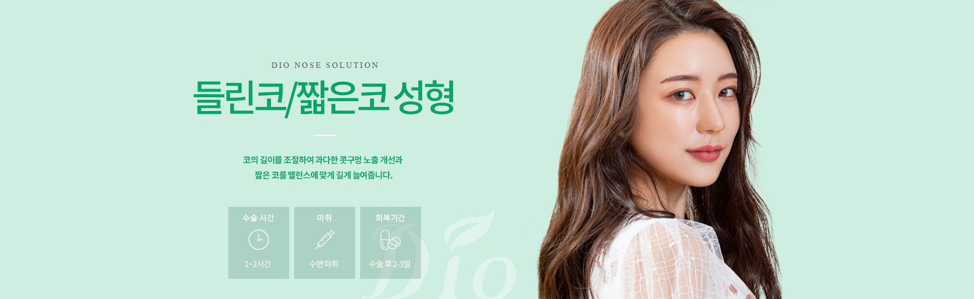 들린코/짧은코 성형