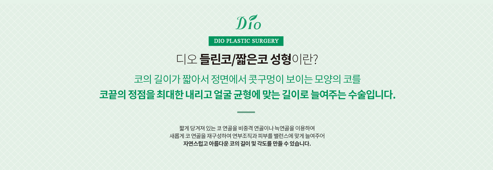 들린코/짧은코성형이란? 